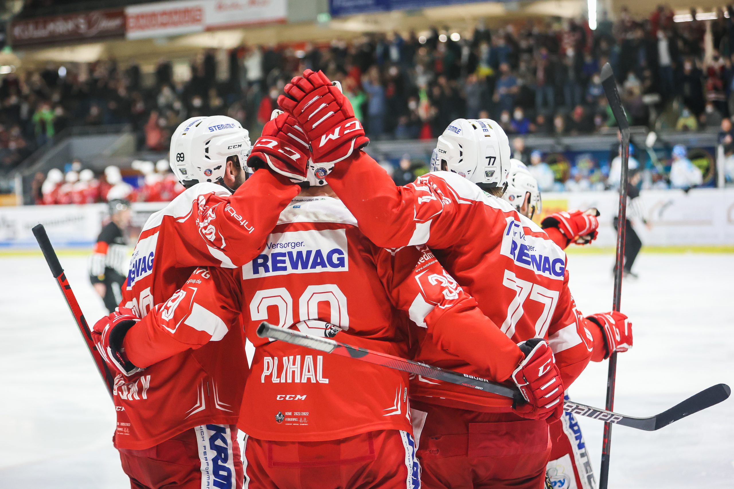 Berichte Eisbaeren Regensburg