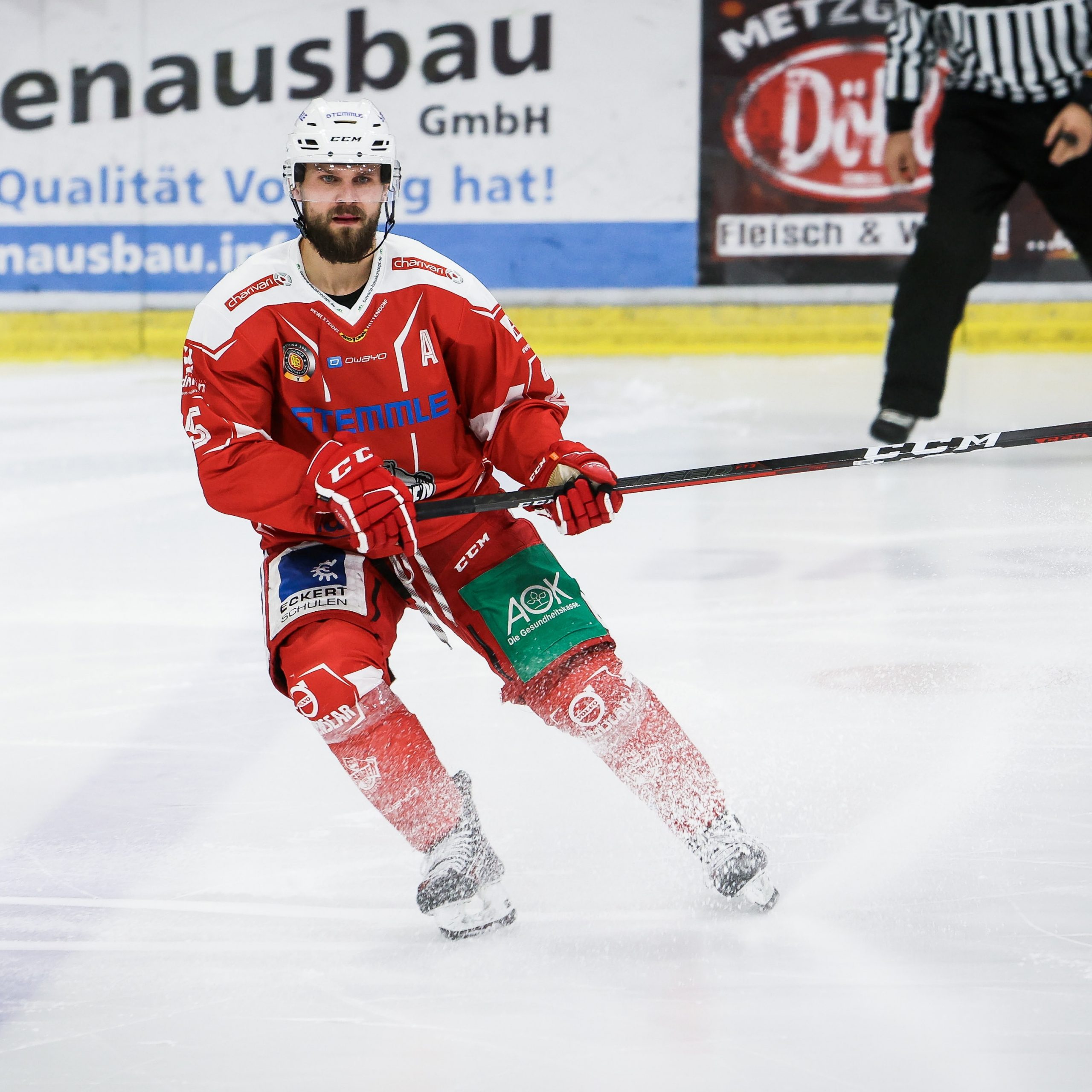 NEUE KAPITÄNE FÜR DIE EISBÄREN GAJOVSKÝ FÜHRT DIE MANNSCHAFT AN, GULDA