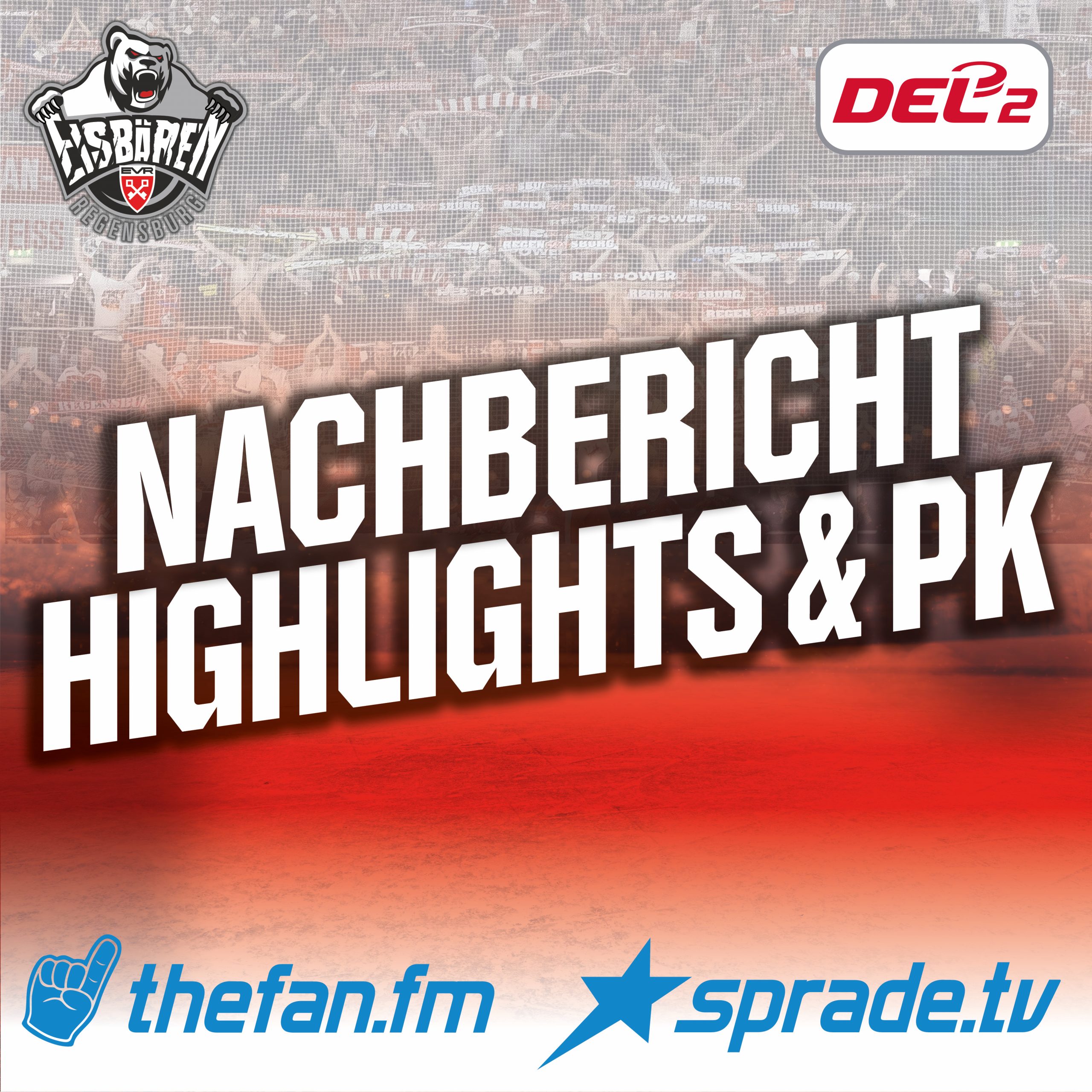 Eisbaeren Regensburg Eishockey Regensburg