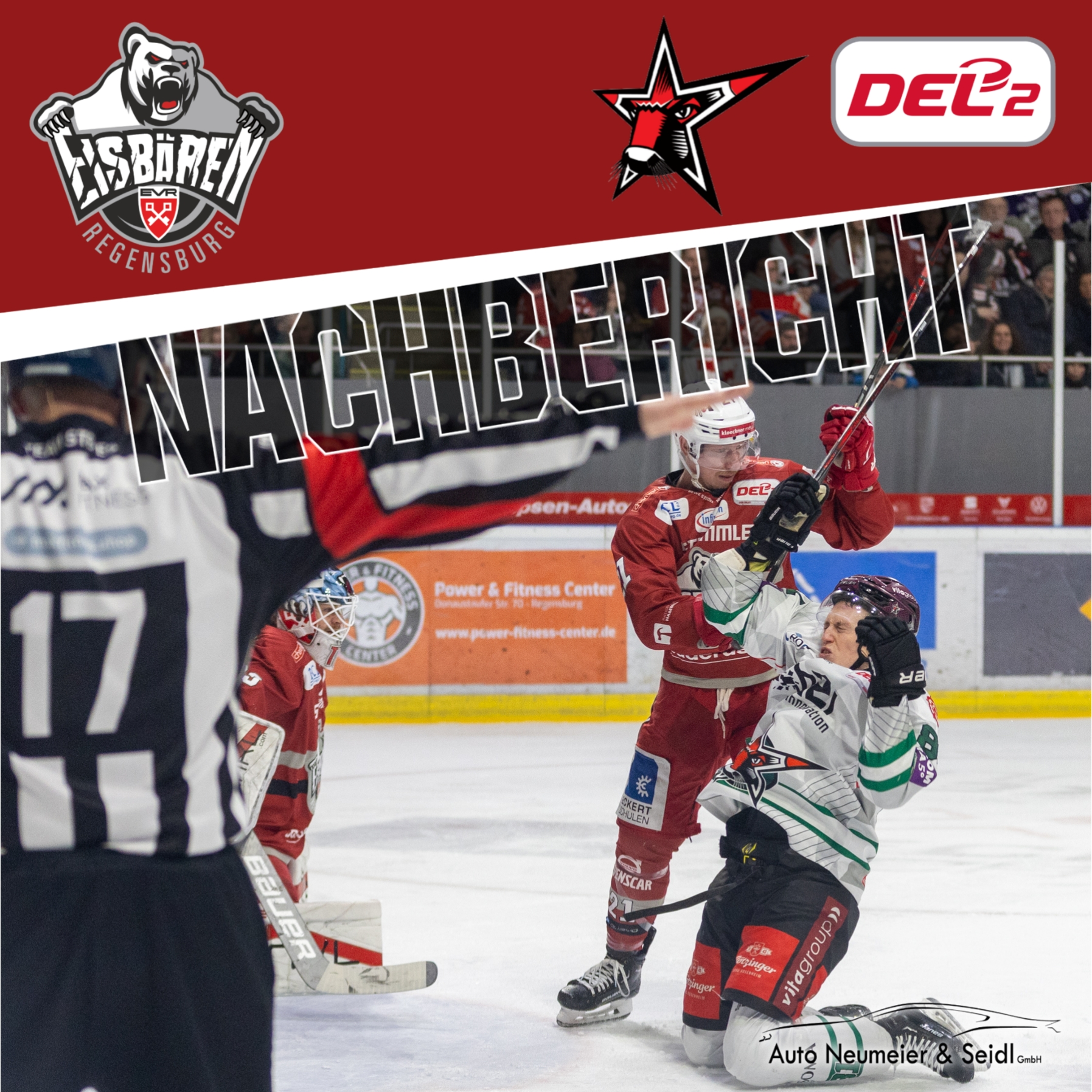 Berichte Eisbaeren Regensburg