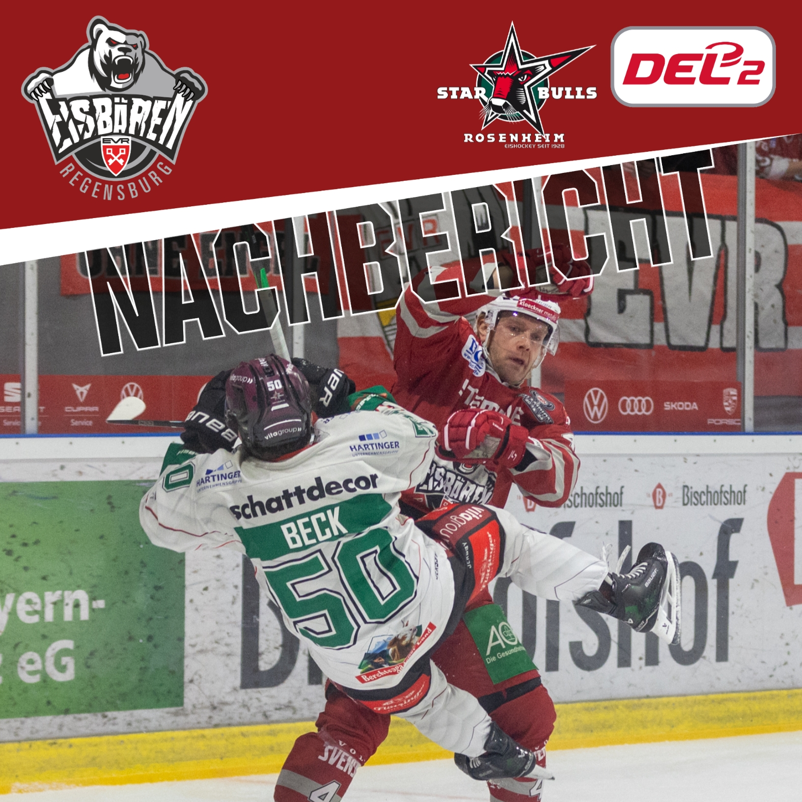 Berichte Eisbaeren Regensburg